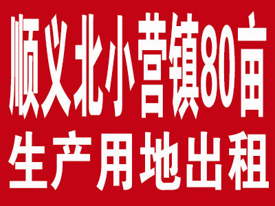 ˳�山СӪ��80Ķ�����õس���